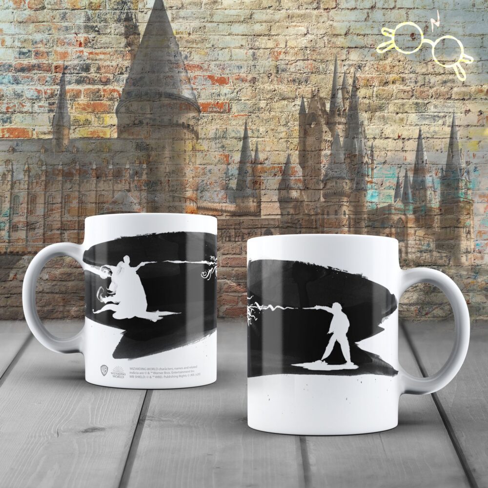 Harry Potter x Lord Voldemort Kupa Harry Potter x Lord Voldemort Kupa