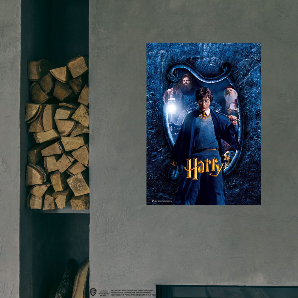 Harry Potter Posteri 30×42 cm A3 Lisanslı Kuşe Kağıt HD Baskı