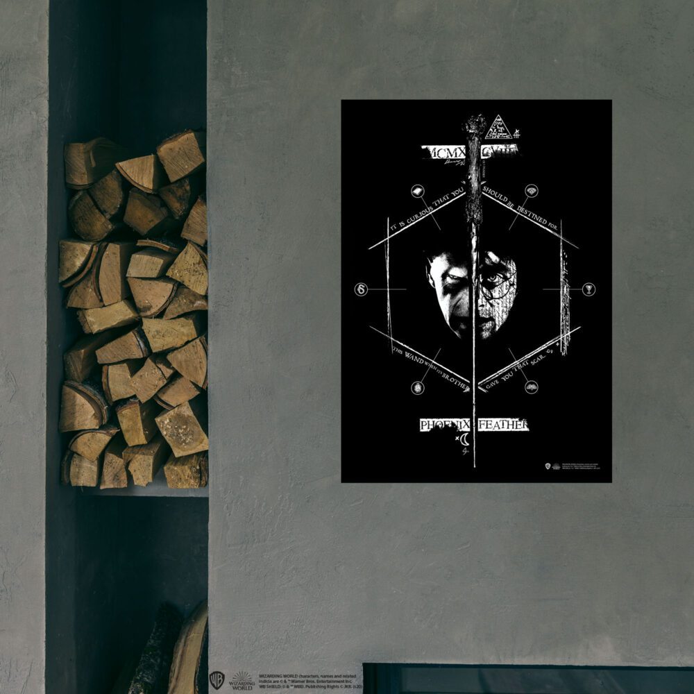 Harry ve Voldemort Posteri 30×42 cm