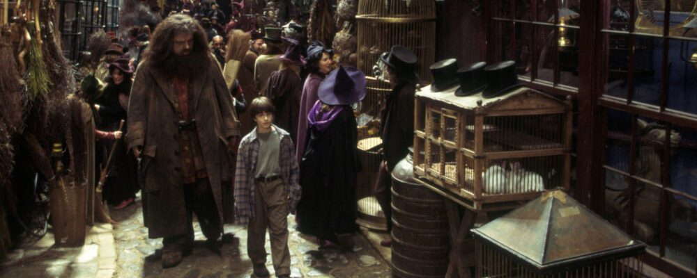 Seyyar Saticilar Sihir Dükkanı - Tüm Harry Potter Ürünleri