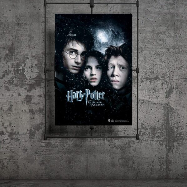 Harry Ron Hermione Posteri 30×42 cm A3 Lisanslı Kuşe Kağıt HD Baskı