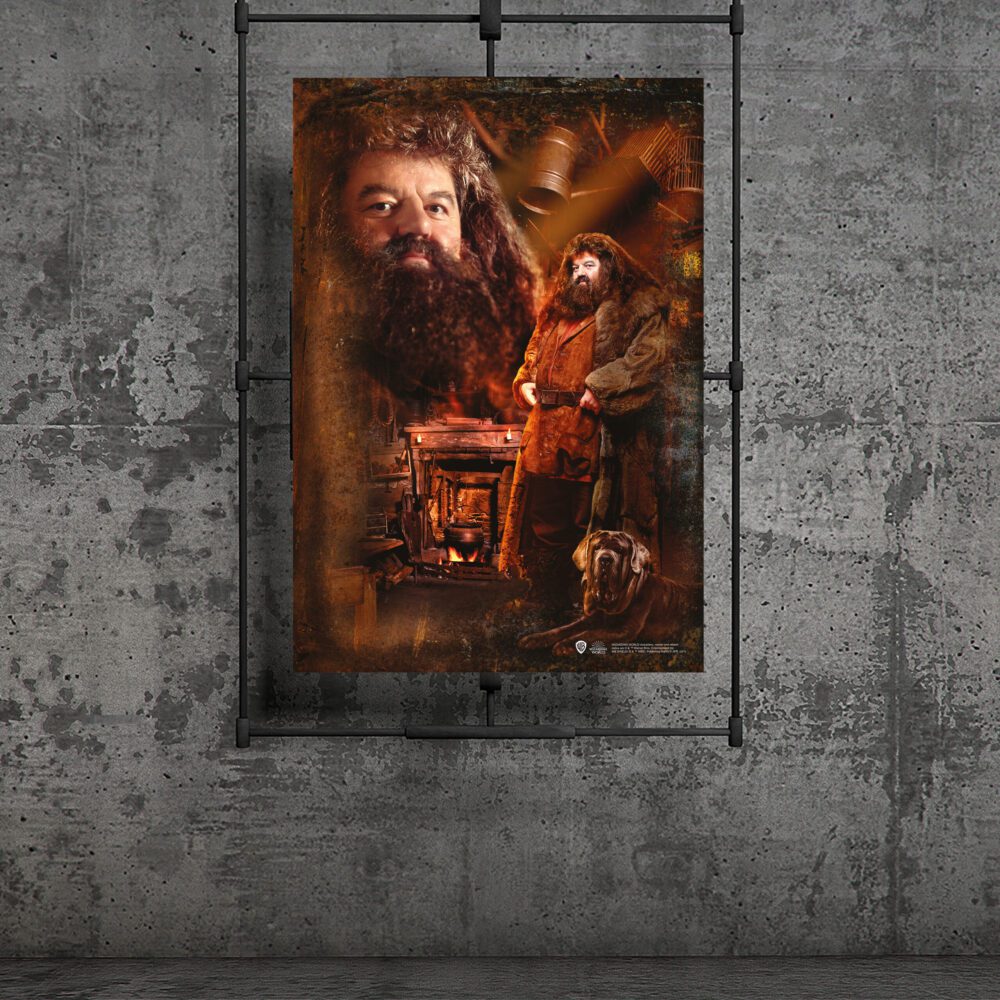 Felsefe Taşı Hagrid Posteri 30×42 cm A3 Lisanslı Kuşe Kağıt HD Baskı