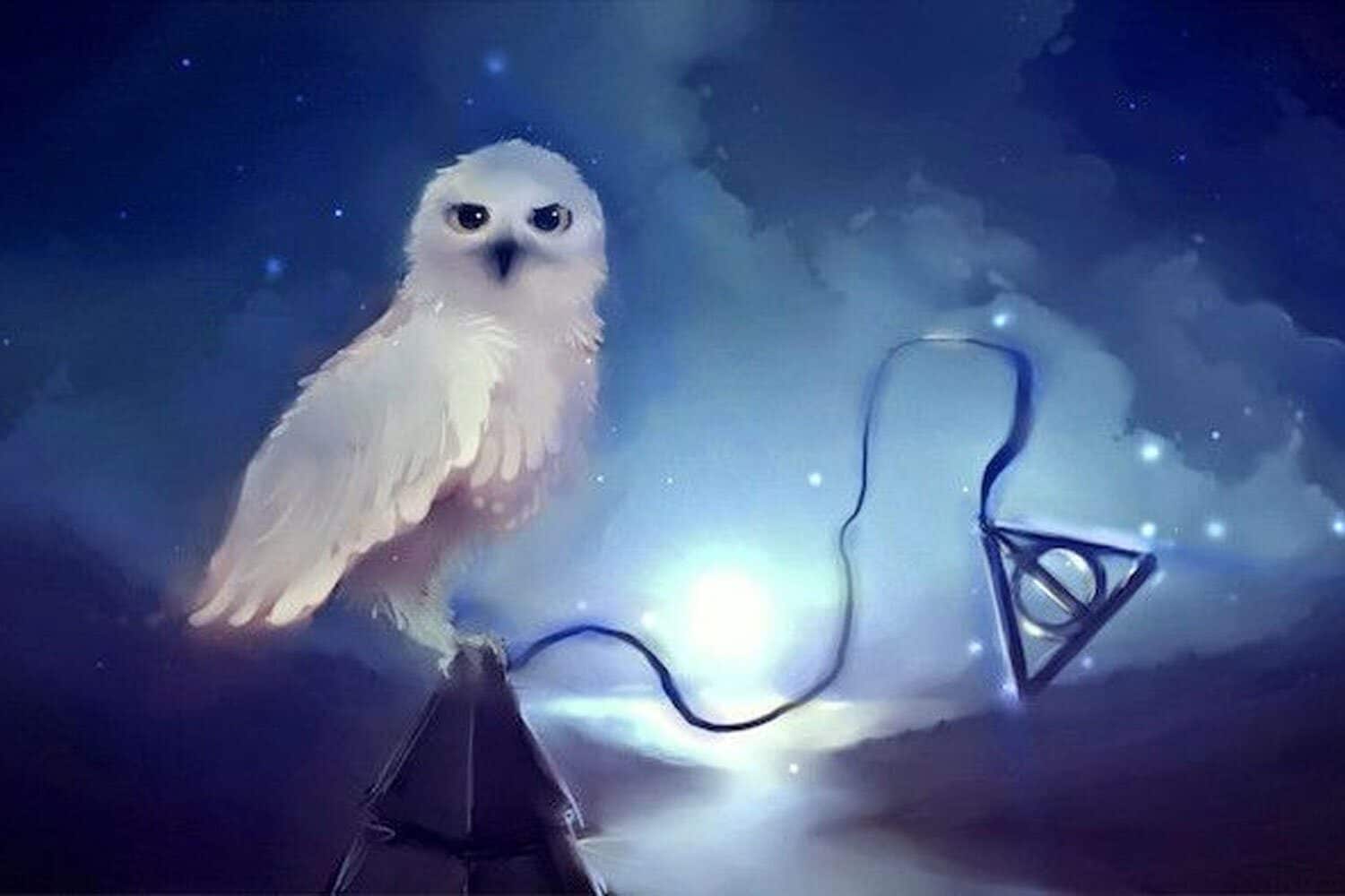 Harry Potter ile İlgili İlginç Bilgiler Harry Potter ile İlgili İlginç Bilgiler