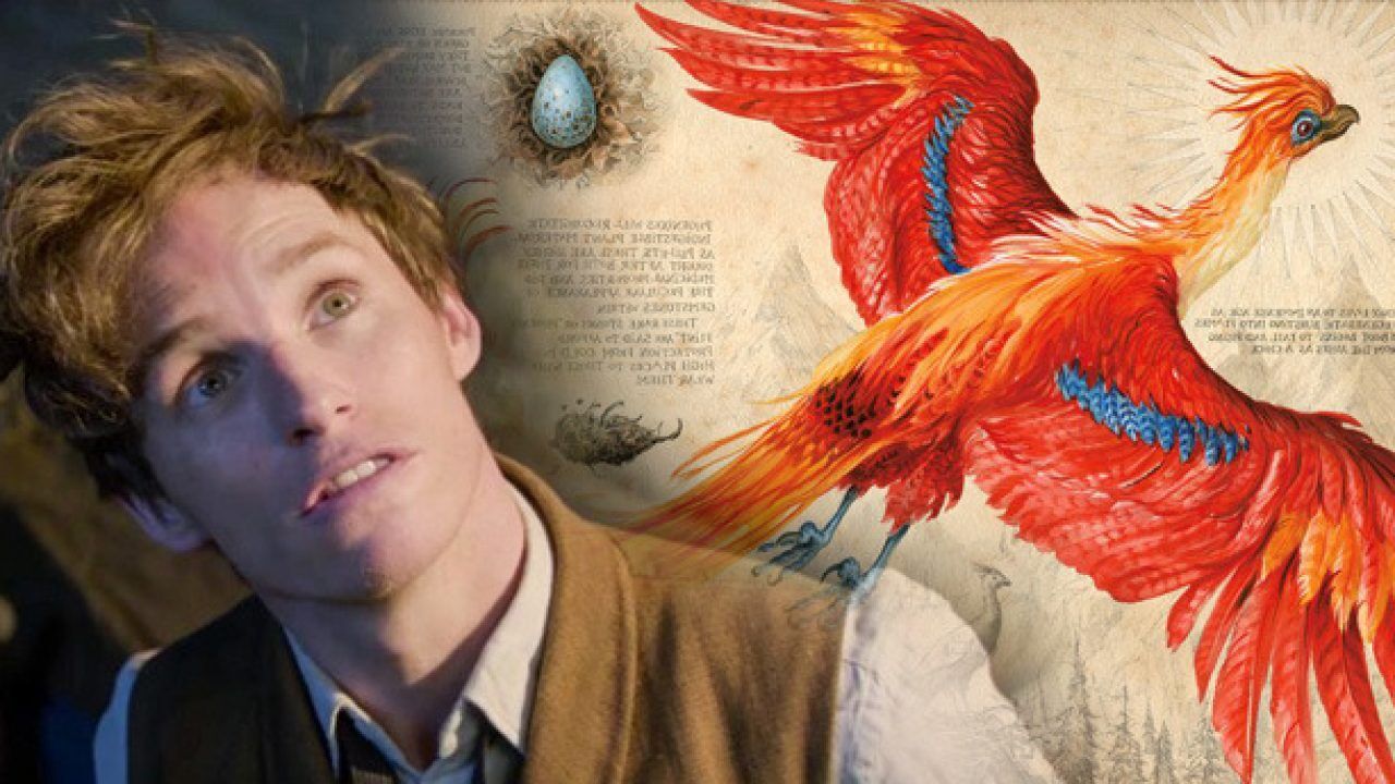‘’FAWKES’’ ‘’FAWKES’’