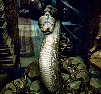nagini ’NAGİNİ’’
