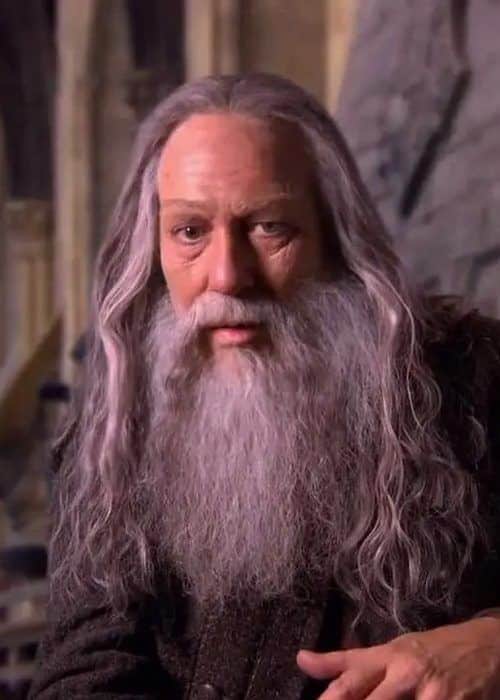 Aberforth Aberforth Sihir Dükkanı - Tüm Harry Potter Ürünleri