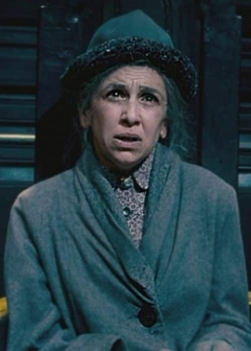 Figg Figg Sihir Dükkanı - Tüm Harry Potter Ürünleri