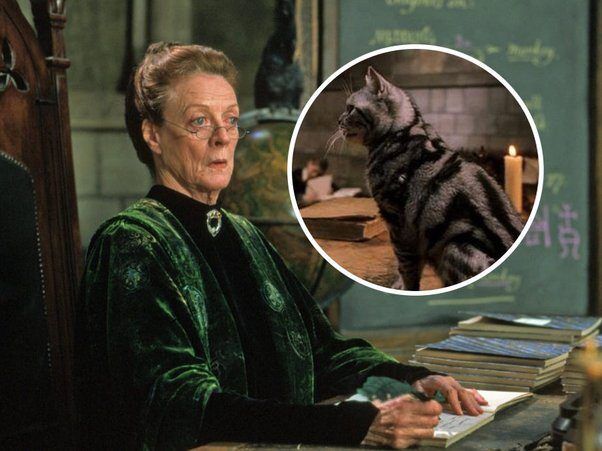 minerva minerva Sihir Dükkanı - Tüm Harry Potter Ürünleri