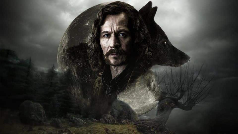 sirius dog sirius dog Sihir Dükkanı - Tüm Harry Potter Ürünleri