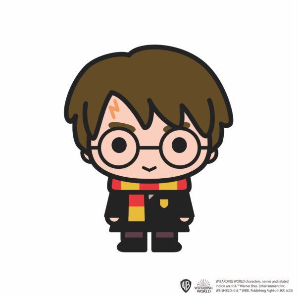 Harry Potter Magnet 8x6 cm